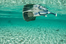 Schwimmende Sportbrille