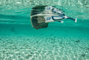 schwimmende Wassersportbrille